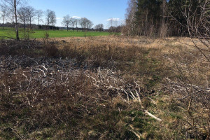 Działka na sprzedaż 16200m2 nowosolski Kożuchów Studzieniec - zdjęcie 1