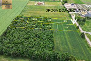 Działka na sprzedaż 10570m2 warszawski zachodni Kampinos Strzyżew - zdjęcie 1