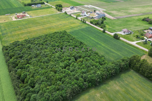 Działka na sprzedaż 10570m2 warszawski zachodni Kampinos Strzyżew - zdjęcie 2