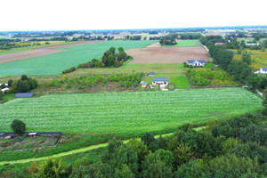 Działka na sprzedaż 3945m2 warszawski zachodni Kampinos Podkampinos - zdjęcie 3