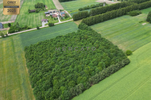 Działka na sprzedaż 10570m2 warszawski zachodni Kampinos Strzyżew - zdjęcie 3