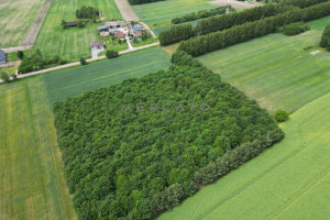 Działka na sprzedaż 10570m2 warszawski zachodni Kampinos Strzyżew - zdjęcie 3