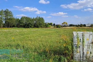 Działka na sprzedaż 1060m2 warszawski zachodni Błonie Radonice - zdjęcie 2