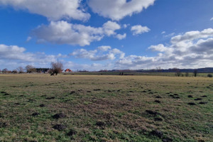 Działka na sprzedaż 6800m2 grudziądzki Grudziądz Brankówka - zdjęcie 1