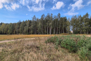 Działka na sprzedaż 1239m2 grudziądzki Grudziądz Lisie Kąty - zdjęcie 3