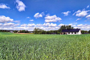 Działka na sprzedaż 5000m2 grudziądzki Grudziądz Nowa Wieś - zdjęcie 3