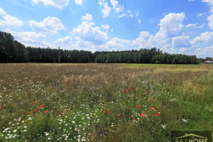 Działka na sprzedaż 1239m2 grudziądzki Grudziądz Lisie Kąty - zdjęcie 1