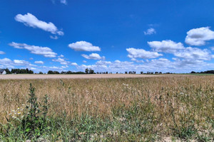 Działka na sprzedaż 2700m2 grudziądzki Rogóźno - zdjęcie 3