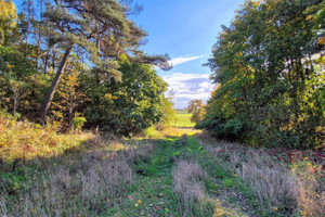 Działka na sprzedaż 3597m2 świecki Nowe Kozielec - zdjęcie 3