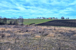 Działka na sprzedaż 1500m2 grudziądzki Gruta - zdjęcie 4