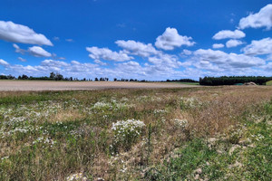 Działka na sprzedaż 2700m2 grudziądzki Rogóźno - zdjęcie 1