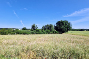 Działka na sprzedaż 20000m2 grudziądzki Rogóźno Skurgwy - zdjęcie 2