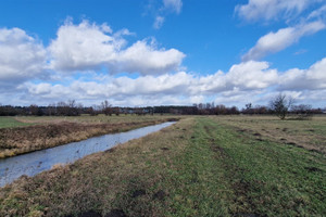 Działka na sprzedaż 6800m2 grudziądzki Grudziądz Brankówka - zdjęcie 3