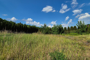 Działka na sprzedaż 1206m2 grudziądzki Grudziądz Pieńki Królewskie - zdjęcie 1