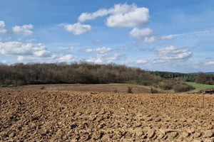 Działka na sprzedaż grudziądzki Grudziądz Nowa Wieś - zdjęcie 2