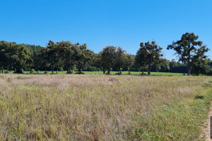 Działka na sprzedaż 1001m2 grudziądzki Grudziądz Węgrowo - zdjęcie 2