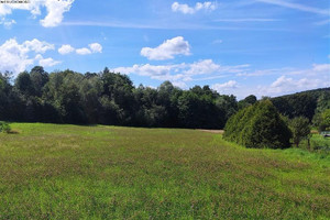 Działka na sprzedaż 1000m2 wielicki Biskupice Sławkowice Sławkowice - zdjęcie 1