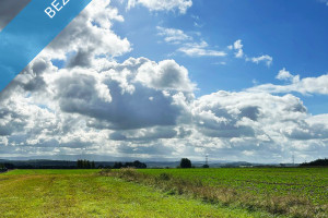 Działka na sprzedaż 1166m2 lubański Siekierczyn - zdjęcie 2