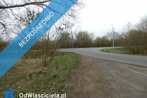 Działka na sprzedaż 6310m2 pyrzycki Bielice Będgoszcz - zdjęcie 3