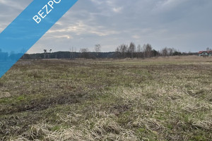 Działka na sprzedaż 5131m2 zielonogórski Nowogród Bobrzański Niwiska - zdjęcie 2