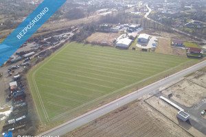 Działka na sprzedaż 24160m2 brzeski Grodków - zdjęcie 4