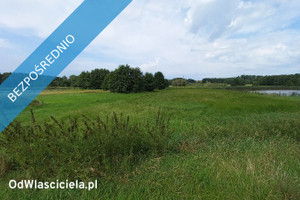 Działka na sprzedaż 34159m2 kościański Śmigiel Olszewo - zdjęcie 1