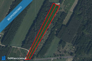 Działka na sprzedaż 10700m2 żyrardowski Mszczonów Długowizna - zdjęcie 1