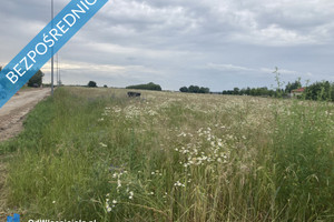 Działka na sprzedaż 1000m2 radomski Skaryszew - zdjęcie 2