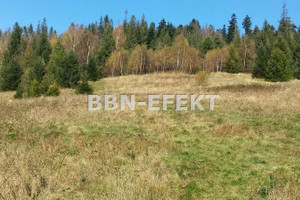 Działka na sprzedaż 3786m2 bielski Szczyrk - zdjęcie 3