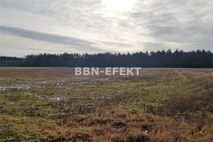 Działka na sprzedaż 4185m2 bieruńsko-lędziński Bojszowy Jedlina - zdjęcie 1