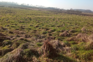 Działka na sprzedaż 22300m2 kołobrzeski Siemyśl Nieżyn - zdjęcie 2