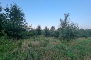 Działka na sprzedaż 12600m2 kłodzki Kłodzko - zdjęcie 1