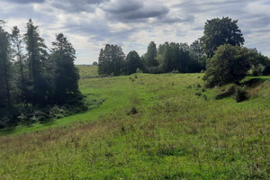 Działka na sprzedaż 20000m2 ełcki Stare Juchy Rogale - zdjęcie 3