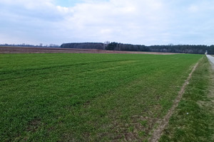 Działka na sprzedaż 6500m2 łowicki Łowicz Łódzka - zdjęcie 1