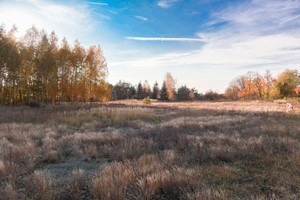 Działka na sprzedaż 1349m2 piotrkowski Gorzkowice Krosno - zdjęcie 1