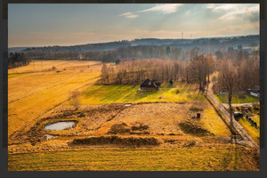 Działka na sprzedaż 3799m2 lwówecki Mirsk Rębiszów - zdjęcie 2