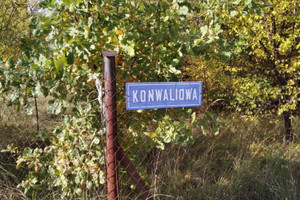 Działka na sprzedaż 731m2 warszawski zachodni Kampinos Kampinos A Konwaliowa - zdjęcie 2