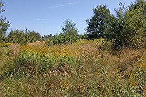 Działka na sprzedaż 2933m2 Ruda Śląska Żytnia - zdjęcie 2