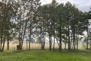 Działka na sprzedaż 3000m2 nowodworski Leoncin Secymin Polski - zdjęcie 3