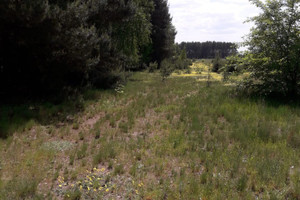 Działka na sprzedaż 1250m2 pułtuski Zatory Kruczy Borek - zdjęcie 1