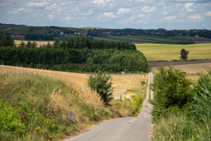 Działka na sprzedaż 12000m2 jarosławski Roźwienica Wola Roźwienicka - zdjęcie 2