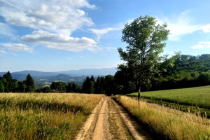 Działka na sprzedaż 2000m2 karkonoski Janowice Wielkie Komarno - zdjęcie 1