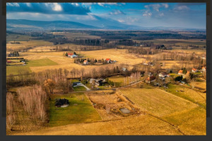 Działka na sprzedaż 3799m2 lwówecki Mirsk Rębiszów - zdjęcie 1