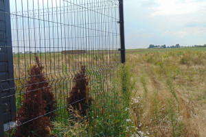 Działka na sprzedaż 800m2 świdnicki Mełgiew Józefów - zdjęcie 3