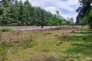 Działka na sprzedaż 2674m2 Rybnik Kamień Jodłowa - zdjęcie 1