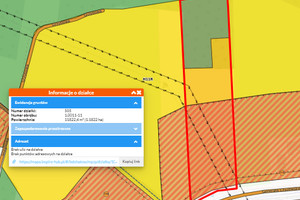 Działka na sprzedaż 11800m2 bełchatowski Bełchatów Czyżewskiego - zdjęcie 4