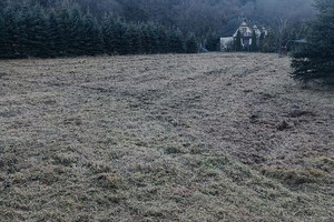 Działka na sprzedaż 3000m2 leski Lesko - zdjęcie 2