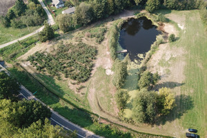 Działka na sprzedaż 13000m2 lubartowski Kamionka Samoklęski - zdjęcie 3