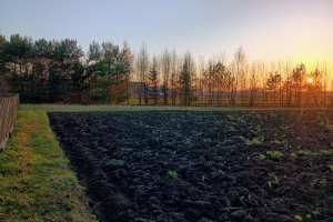 Działka na sprzedaż 1270m2 łańcucki Białobrzegi Dębina - zdjęcie 2