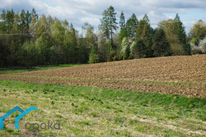 Działka na sprzedaż 800m2 cieszyński Hażlach Pogwizdów ogrodowa - zdjęcie 1